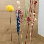 FlowerBar® Set „Blumenwiese“- FlowerBar® und Cube