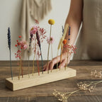 FlowerBar® Set „Blumenwiese“- FlowerBar® und Cube
