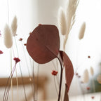 FlowerBar® "Besinnlichkeit" - Warme Rottöne und schlichtes weiß