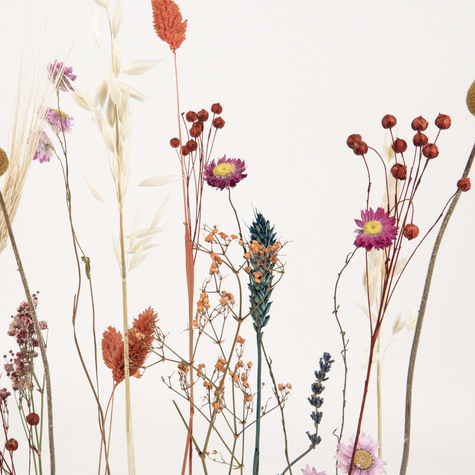 FlowerBar® Blumenwiese – Trockenblumen auf Eichenholz, DIY Geschenkidee, handmade, getrocknete Blumen, haltbar, Herbstdeko