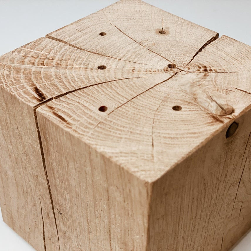 FlowerBar® CUBE "Blumenwiese" (ca. 10cm x 10cm x 10cm) Trockenblumen Flowergram & edle Eiche, Holz Arrangement, getrocknete Blumen, haltbar