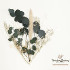Tauschpaket Blumen FlowerBar® "Fernweh" Trockenblumen haltbar