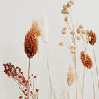 FlowerBar®"Fata Morgana" Boho Trockenblumen Arrangement auf Holz, getrocknete Blumen, haltbar, Geschenkidee, DIY Dekoration