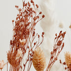 FlowerBar®"Fata Morgana" Boho Trockenblumen Arrangement auf Holz, getrocknete Blumen, haltbar, Geschenkidee, DIY Dekoration