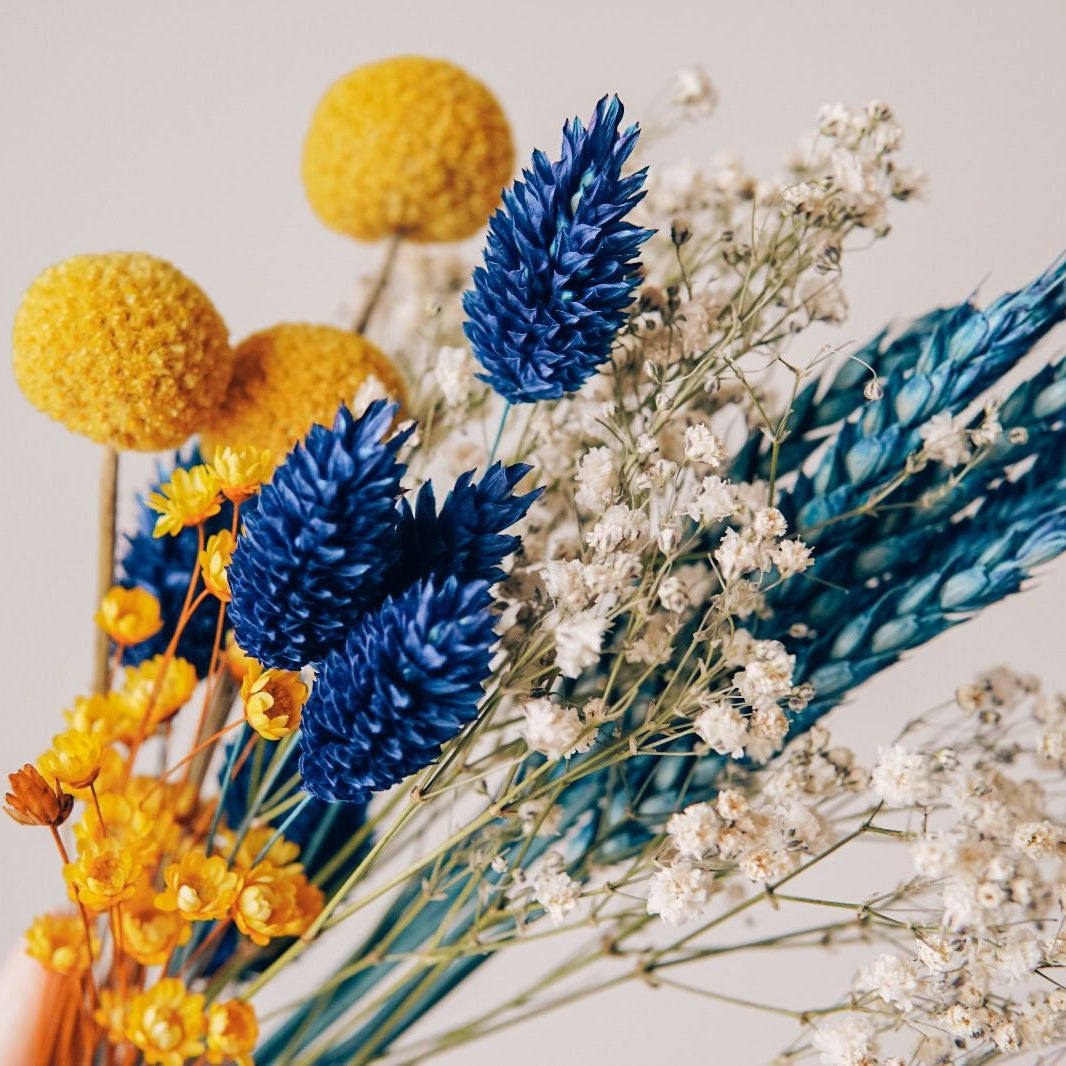 Tauschpaket Blumen FlowerBar® "Schwedenglück" Trockenblumen haltbar