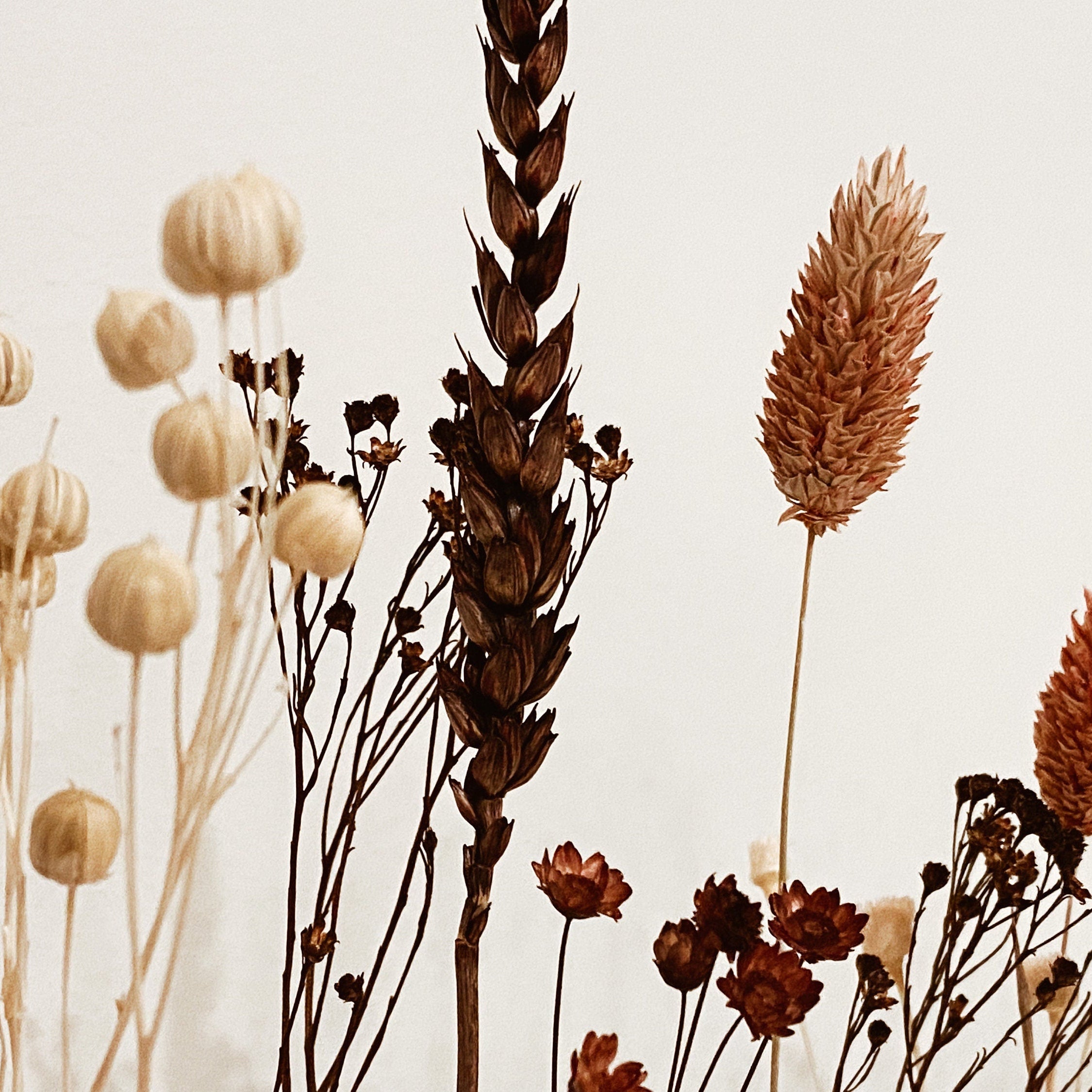 FlowerBar® 'Gold Richtig' Trockenblumen Flowergram & edle Eiche, Holz Arrangement, getrocknete Blumen, haltbar