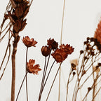 FlowerBar® 'Gold Richtig' Trockenblumen Flowergram & edle Eiche, Holz Arrangement, getrocknete Blumen, haltbar