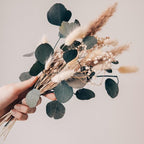 Tauschpaket Blumen FlowerBar® "Fernweh" Trockenblumen haltbar
