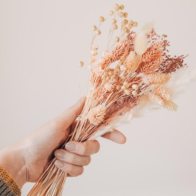 Tauschpaket Blumen FlowerBar® "Fata Morgana" Trockenblumen haltbar, nachhaltig getrocknete Blumen, Blumenpaket für Holzleiste