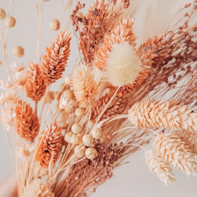 Tauschpaket Blumen FlowerBar® "Fata Morgana" Trockenblumen haltbar, nachhaltig getrocknete Blumen, Blumenpaket für Holzleiste