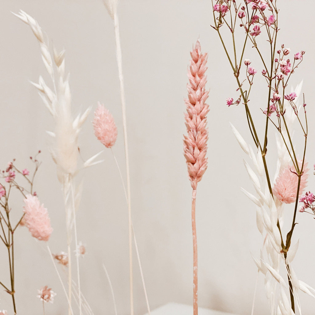 FlowerBar® Memories "Zuckerwatte" Trockenblumen Flowergram & edle Eiche, Holz Arrangement, getrocknete Blumen, haltbar