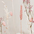 FlowerBar® Memories "Zuckerwatte" Trockenblumen Flowergram & edle Eiche, Holz Arrangement, getrocknete Blumen, haltbar