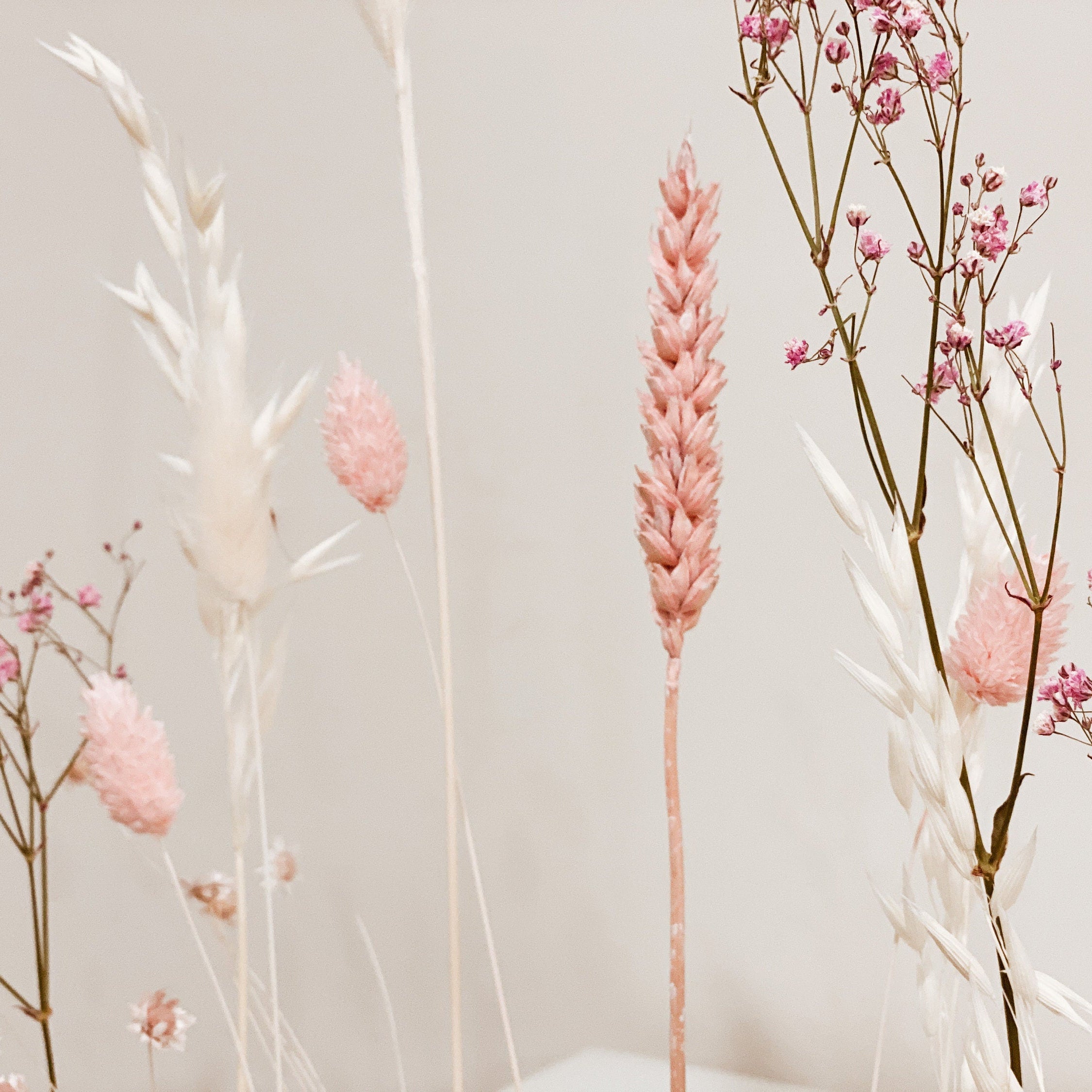 FlowerBar® Memories "Zuckerwatte" Trockenblumen Flowergram & edle Eiche, Holz Arrangement, getrocknete Blumen, haltbar