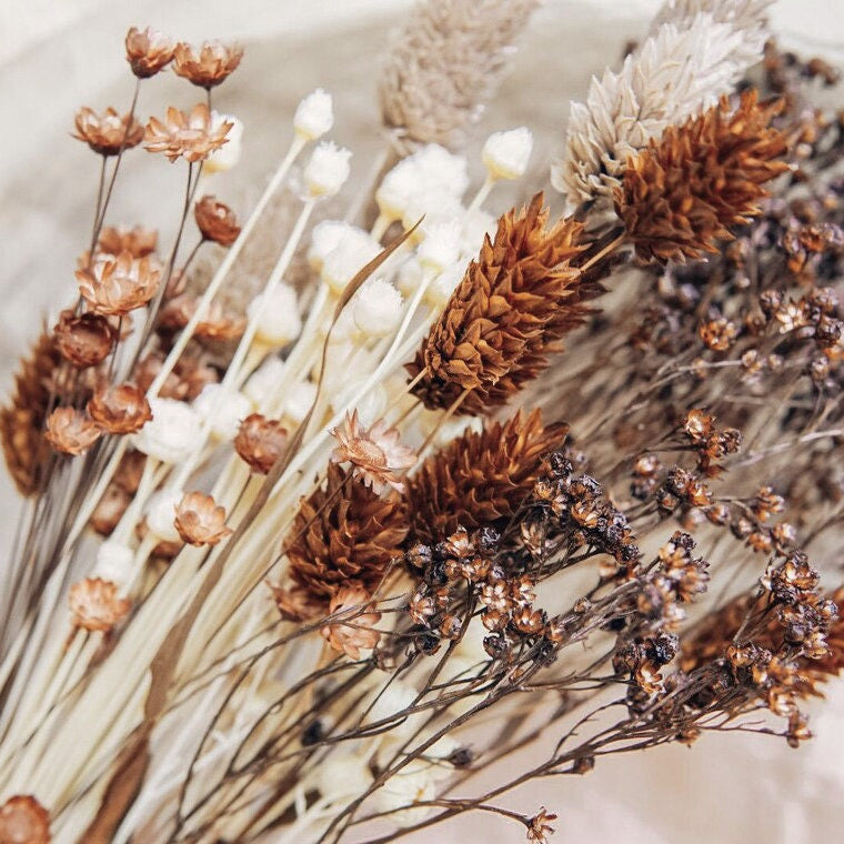 Tauschpaket Blumen Flowerbar® "Gold Richtig" Trockenblumen haltbar