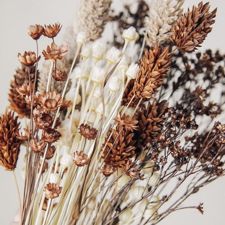 Tauschpaket Blumen Flowerbar® "Gold Richtig" Trockenblumen haltbar