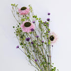 Tauschpaket Blumen Flowerbar® "Fliederleicht" Trockenblumen haltbar