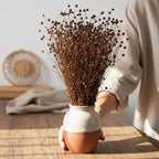 Trockenblumen braun | Glixia, Broom, Phalaris, Palmblatt, Weizen | Deko, FlowerBar, Hochzeit & DIY