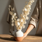 Trockenblumen Weiß | Lino, Statice, Lunaria, Lagurus, Phalaris, Acroclinium, Hafer & Baumwolle | Deko, FlowerBar, Hochzeit und DIY
