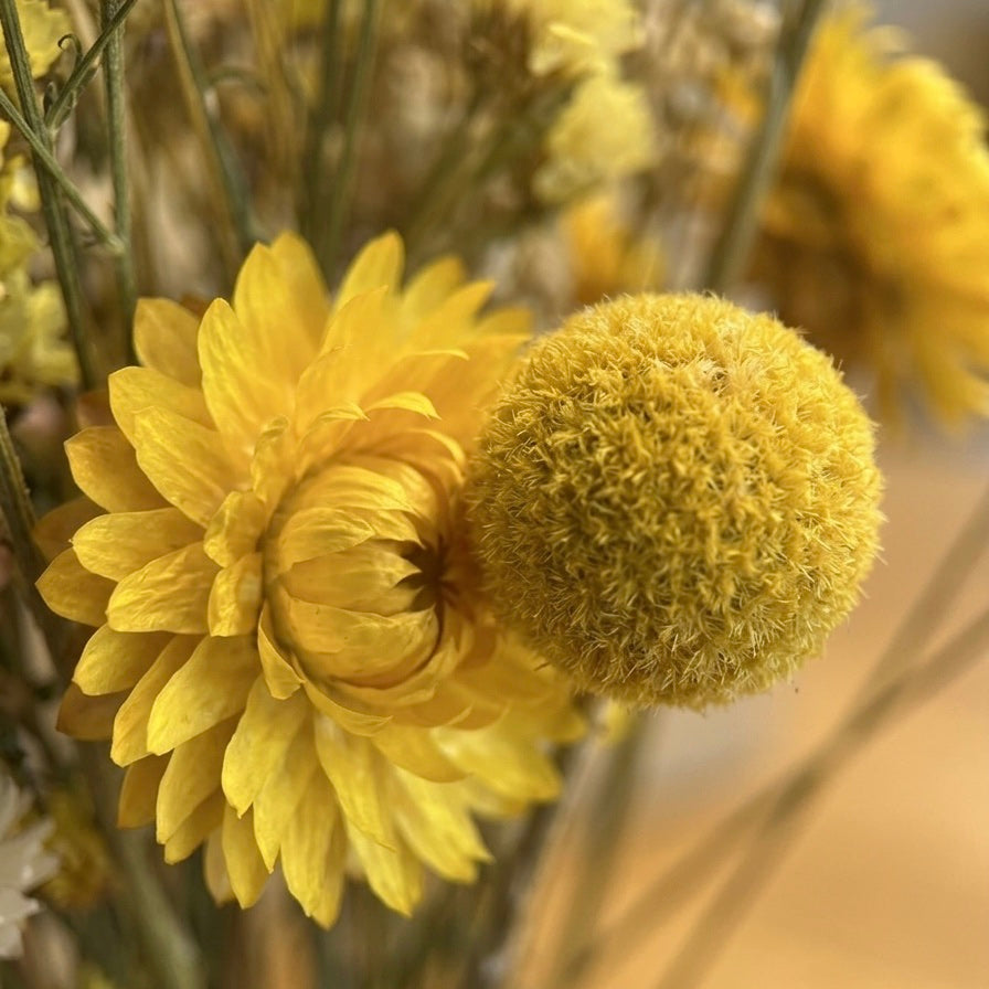FlowerBar® Set „Sommerwiese“ - Trockenblumen Arrangement inkl. Raysin Vase und FlowerBar®