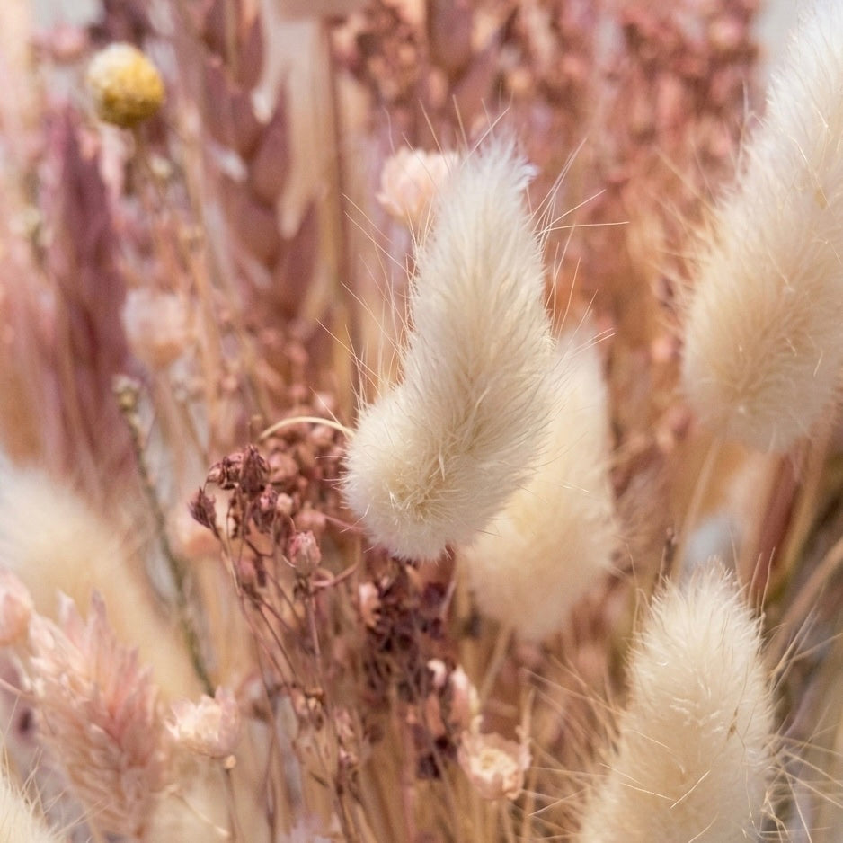 FlowerBar® Set „Zuckerwatte“ - Trockenblumen Arrangement inkl. Raysin Vase und FlowerBar®